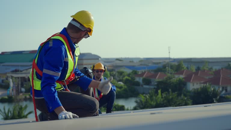 Best Steel Roofing  in Wilmington Island, GA