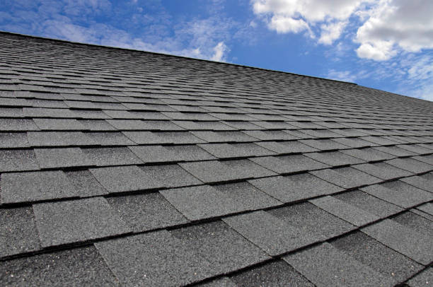 Best Roof Insulation Installation  in Wilmington Island, GA
