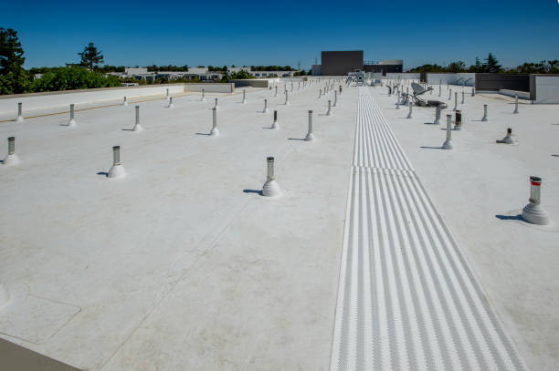 Best Gutter Installation and Repair  in Wilmington Island, GA